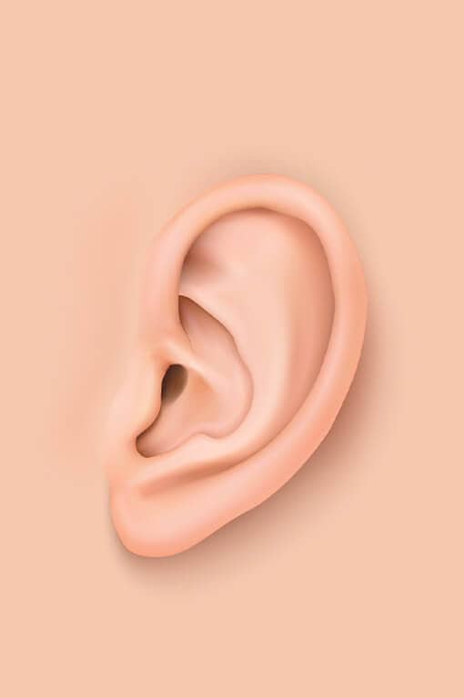 Cochlea-Implantat