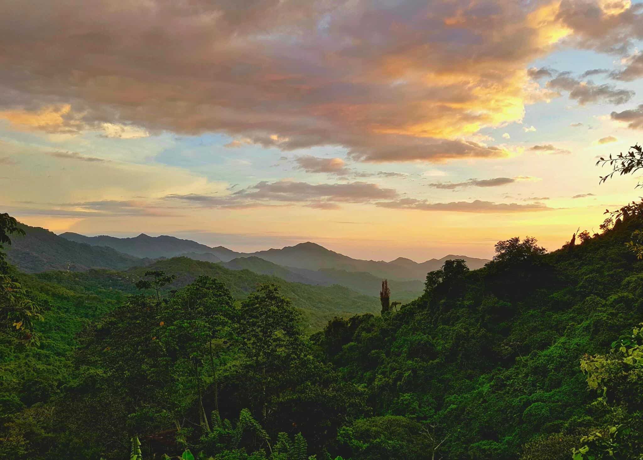 audibene unterstützt Waldschutz in Kolumbien für Nachhaltigkeit